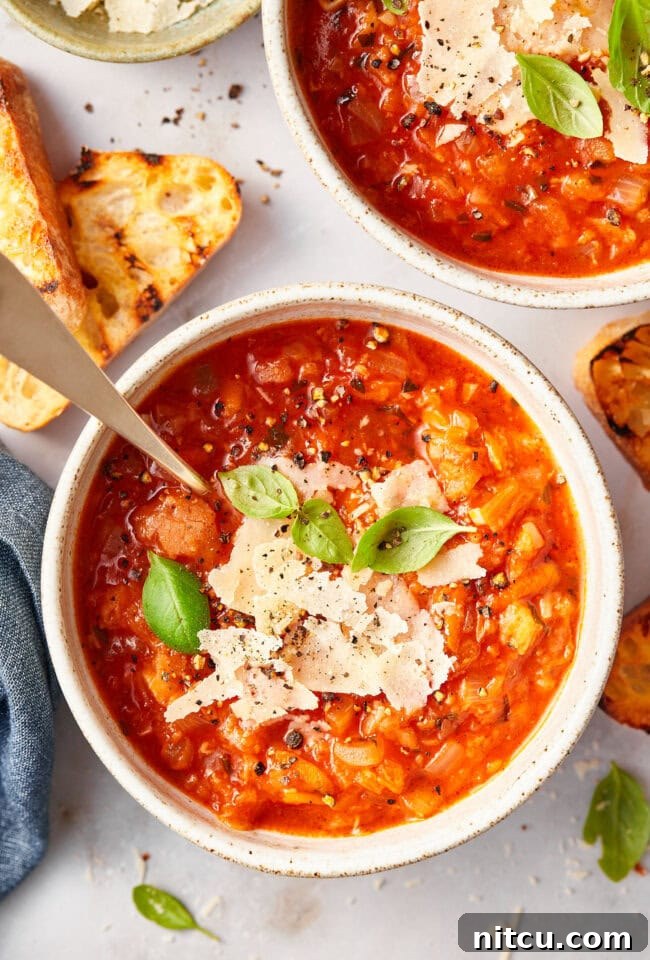 Overhead shot of homemade Italian tomato soup, Pappa al Pomodoro, served in a rustic bowl.