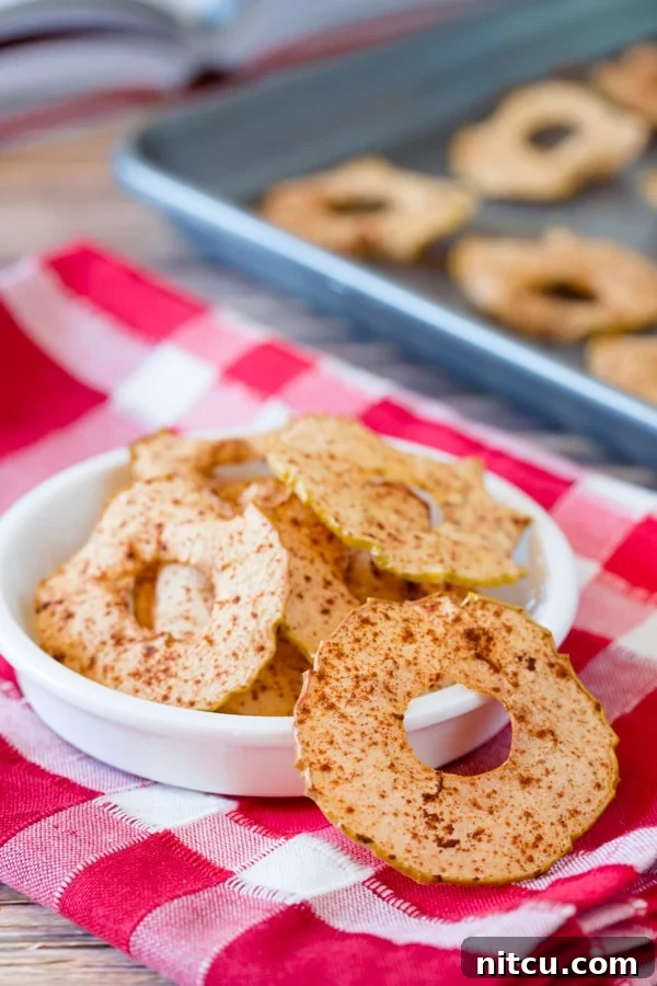 Baked apple chips in a white bowl on a red and white linen.