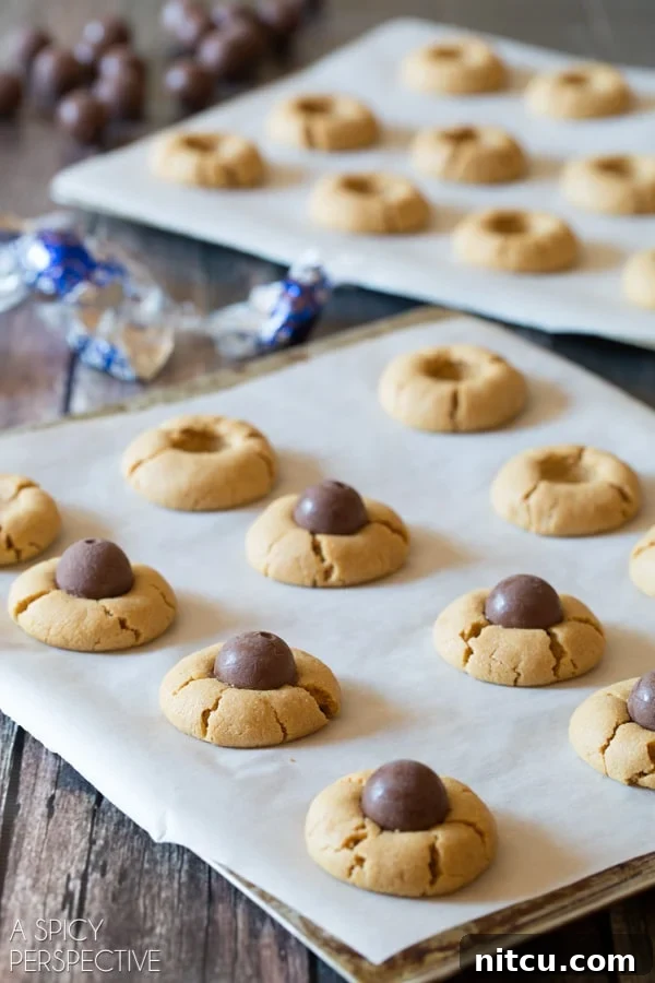 Demonstration of how to create the iconic Chocolate Peanut Butter Spider Cookies design.