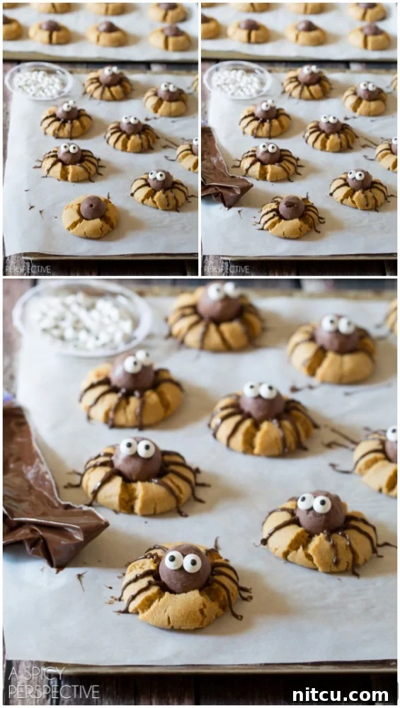 Easy steps to create festive Chocolate Peanut Butter Spider Cookies