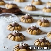 Creepy Chocolate Peanut Butter Cookies - SPIDERS! Perfect for Halloween