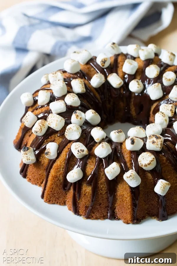 S'mores Bundt Cake - Brilliant Bundt Cakes Ebook Release Party! #bundtcake #ebook