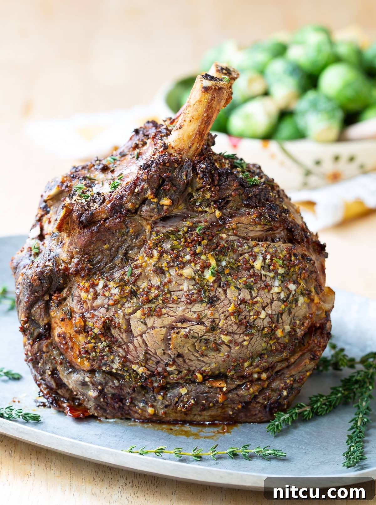 A magnificent standing rib roast, beautifully coated in a flavorful herb and mustard seasoning rub, ready for carving and serving.