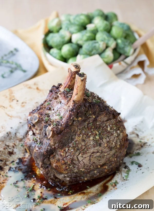 A perfectly roasted standing rib roast rests on a baking sheet after being removed from the oven.
