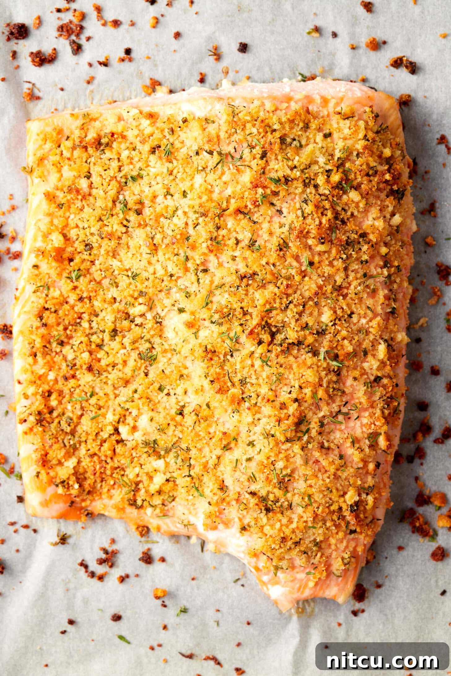 A close-up view of oven baked parmesan crusted salmon, perfectly golden and flaky, served on a white plate, showcasing its appealing texture and color.