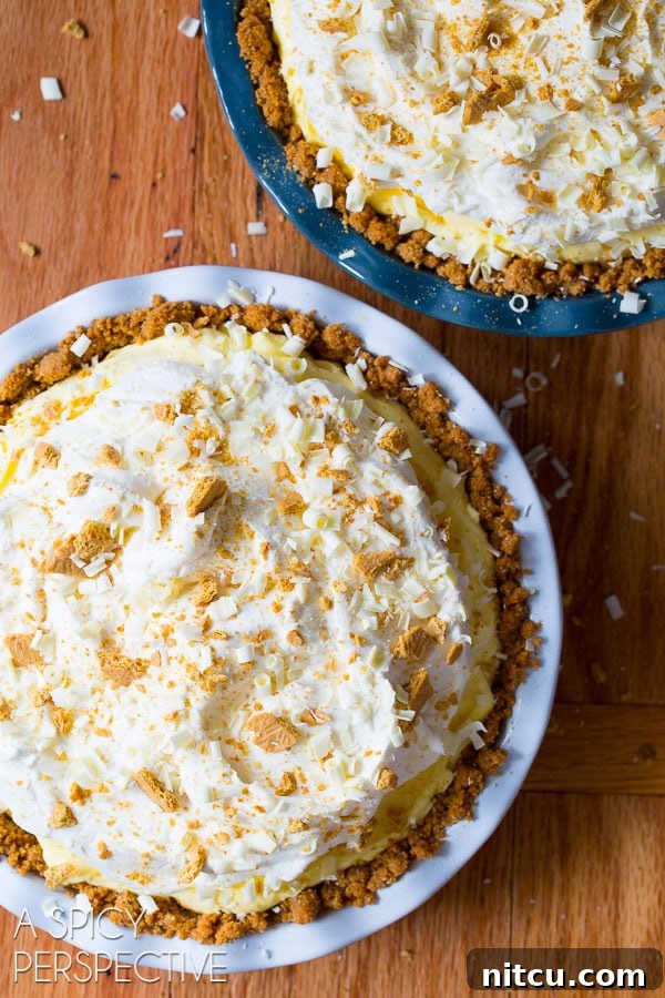 Overhead view of two lemon cream pies. 