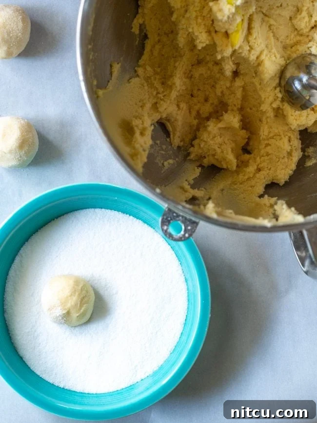 A close-up shot of perfectly formed sugar cookie dough balls, ready for the oven.