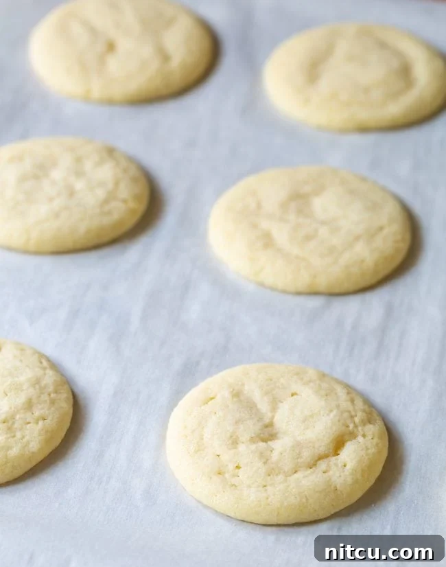 sugar cookie recipe - after baking, showcasing a delicate sugar coating and uniform shape.