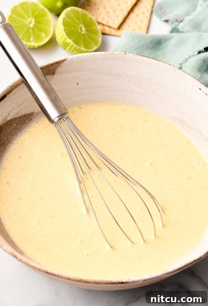 5-Ingredient Key Lime Pudding Pops - lime popsicles on a plate with graham cracker crust garnish - pudding mixture in bowl