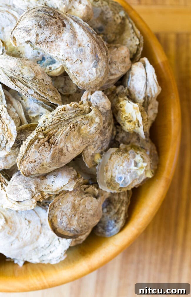 How to Shuck Oysters - bowl full of raw oysters