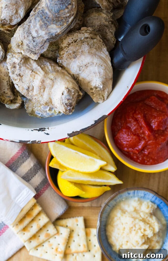 Oysters in a pot next to lemons, cocktail sauce, horseradish and saltines.