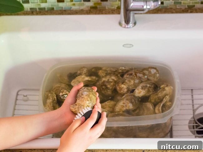 Oyster shucking knife and towel.