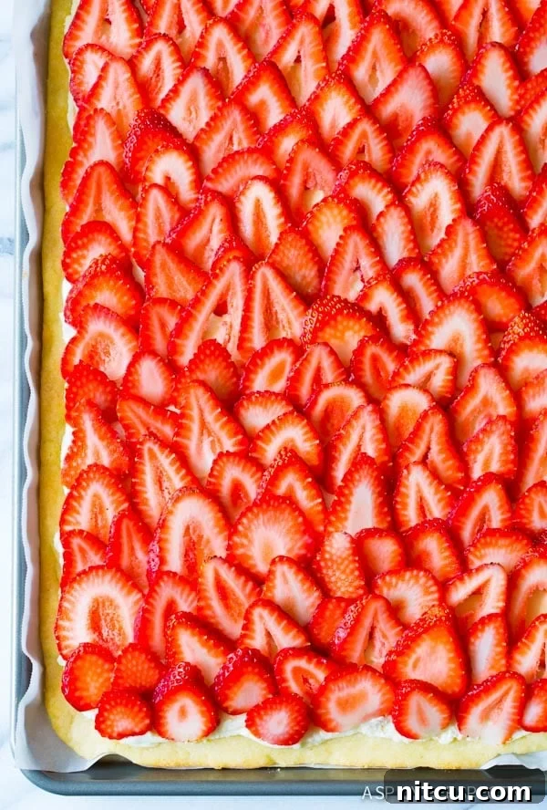 Delicious Strawberry Pizza with goat cheese and a sugar cookie crust, perfect for summer dessert.