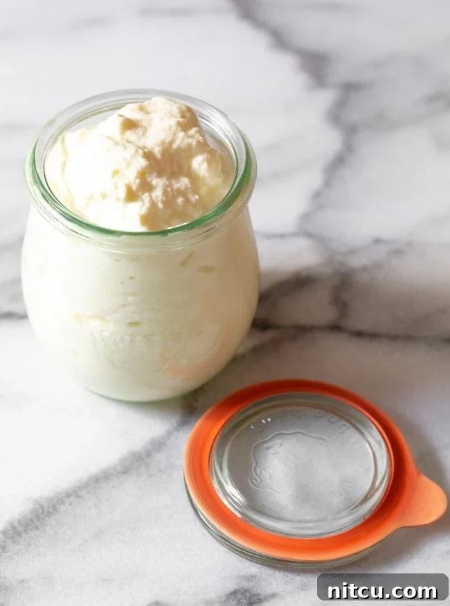 A glass jar filled with fresh, creamy homemade ricotta cheese, with the lid removed and resting beside it, emphasizing its rustic appeal and delightful texture.
