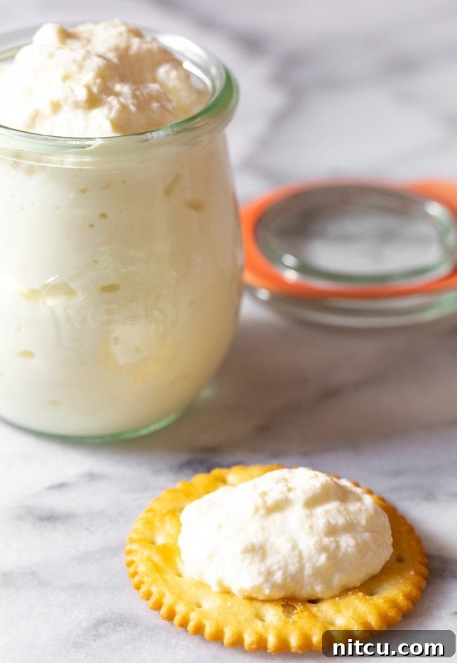 A delicious circular cracker topped with a generous dollop of creamy homemade ricotta cheese, ready for a delightful bite. In the background, a jar of fresh ricotta cheese awaits.