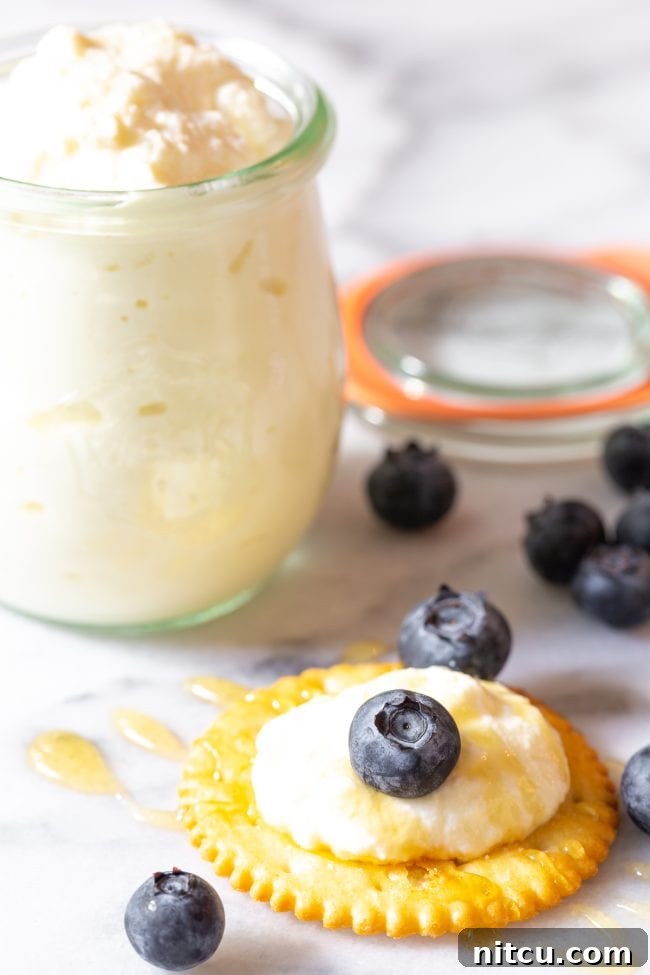 A crisp cracker adorned with a dollop of creamy homemade ricotta cheese, a fresh blueberry, and a delicate drizzle of honey. In the background, a glass jar of ricotta cheese hints at the delicious bounty.