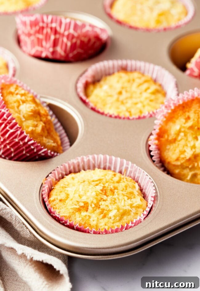 Baked tropical breakfast muffins in a muffin tin.