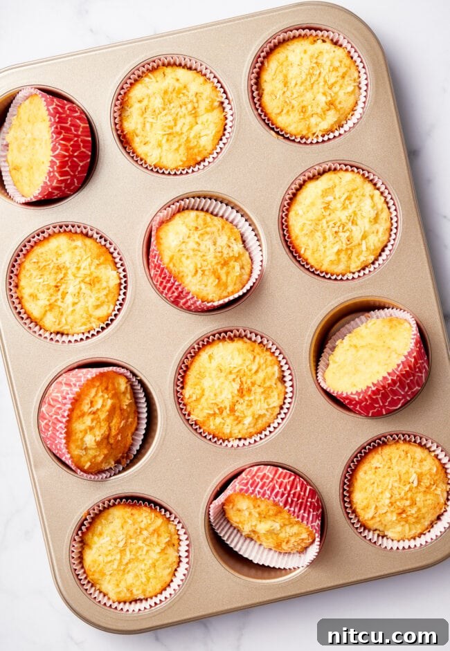 Baked tropical breakfast muffins in a muffin tin.