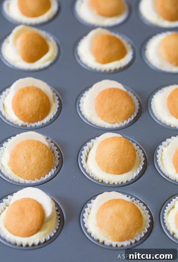 Enjoy this Mini Banana Cream Pie Recipe (Banana Pudding Tarts) on ASpicyPerspective.com 