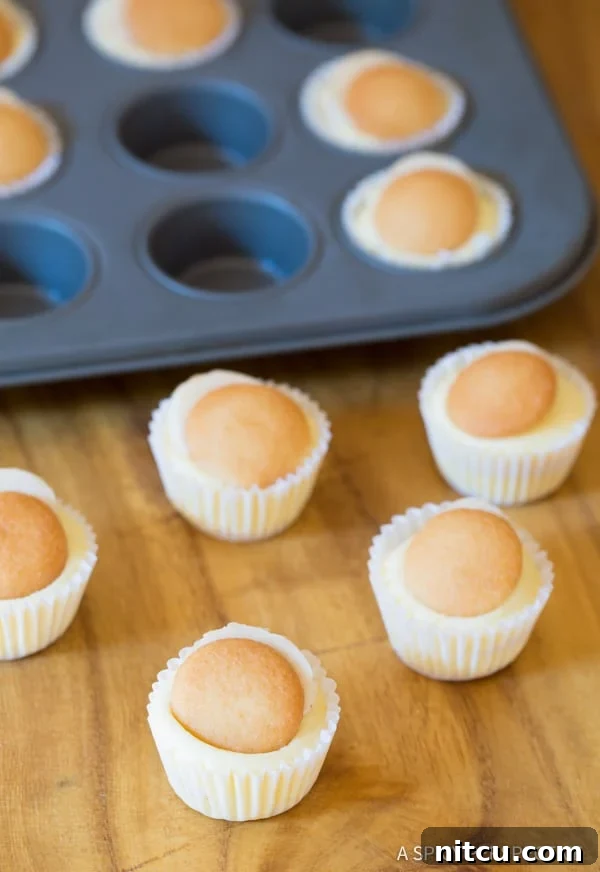 Amazing Mini Banana Cream Pie Recipe (Banana Pudding Tarts) on ASpicyPerspective.com 