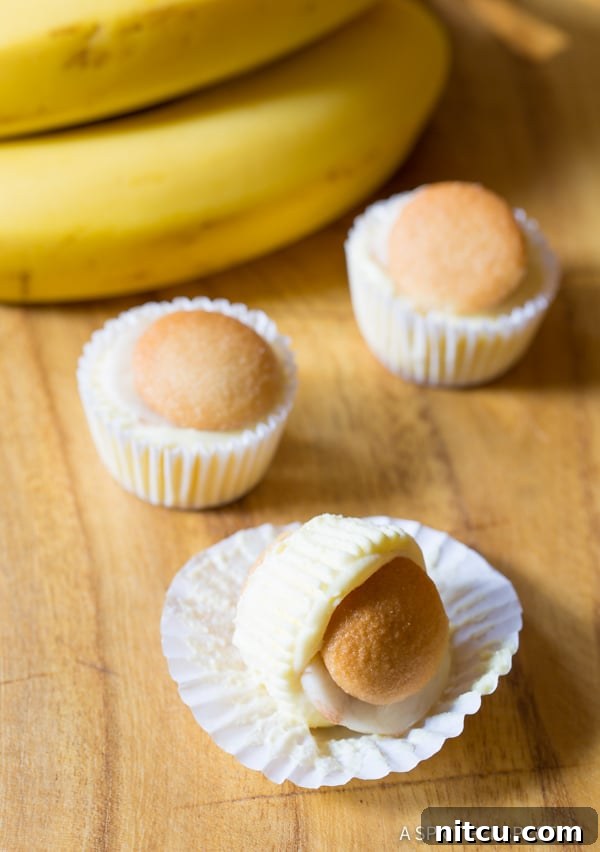 Loving this Mini Banana Cream Pie Recipe (Banana Pudding Tarts) on ASpicyPerspective.com 