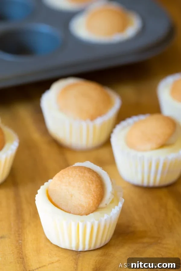 Easy Mini Banana Cream Pie Recipe (Banana Pudding Tarts) on ASpicyPerspective.com 