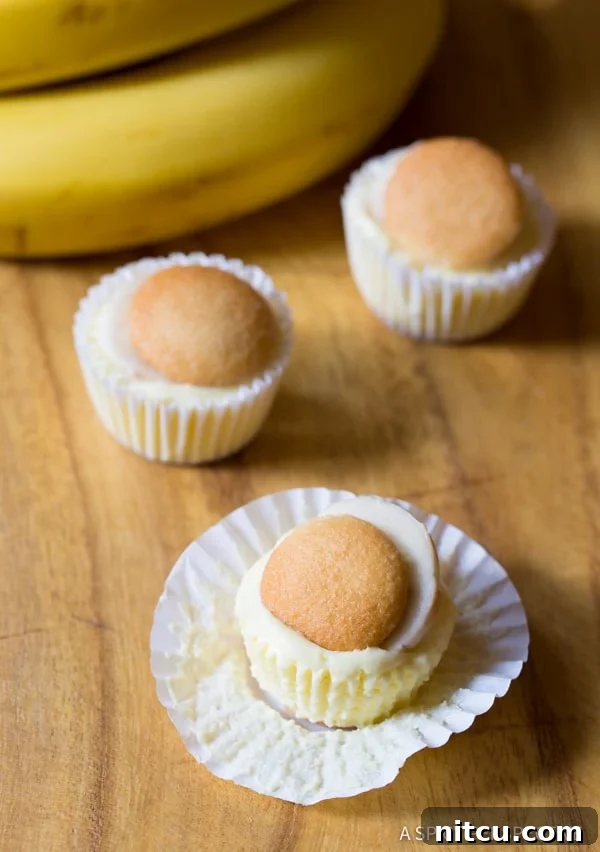 Simple 6-Ingredient Mini Banana Cream Pie Recipe (Banana Pudding Tarts) on ASpicyPerspective.com 
