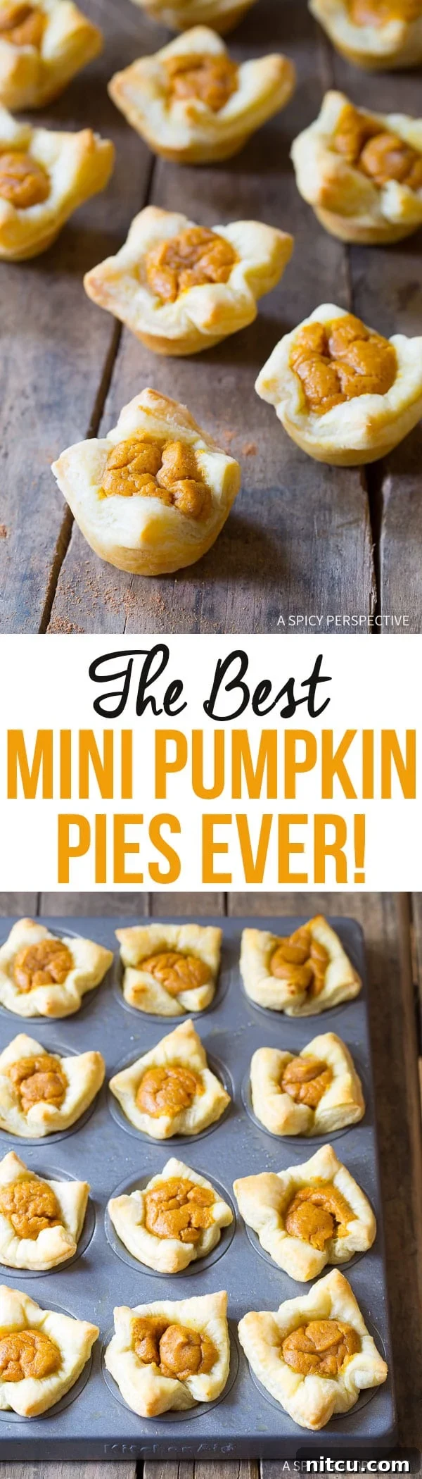 The Best Mini Pumpkin Pies EVER - One bite will convince you of their irresistible charm and deliciousness!