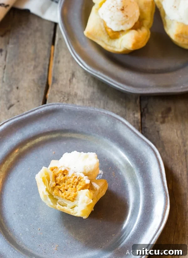 So Darn Good! The Best Mini Pumpkin Pies – an exquisite close-up of the delicious dessert.