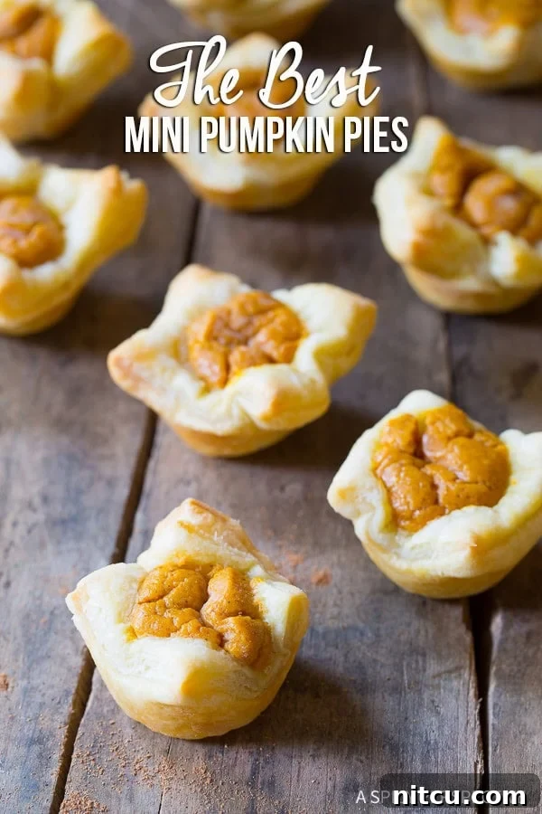 The Best Mini Pumpkin Pies - A close-up of beautifully baked mini pumpkin pies, ready to be enjoyed.