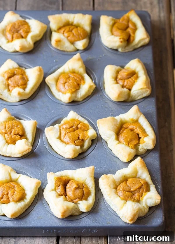 A stunning display of the Best Mini Pumpkin Pies, garnished and ready for serving, showcasing their delicious appeal.