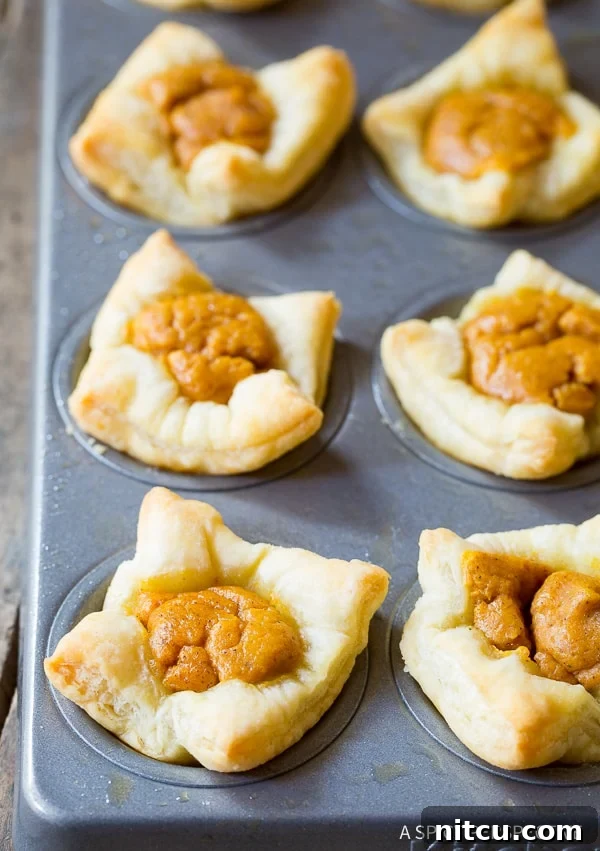 The Best Mini Pumpkin Pies, perfectly baked and golden, promising true love at first bite.