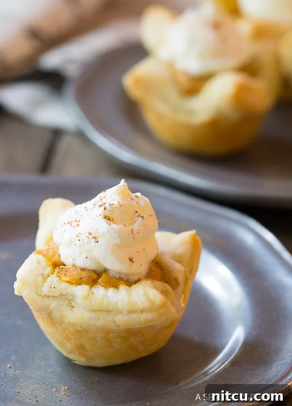 A beautifully arranged serving of The Best Mini Pumpkin Pies, tempting and ready to be tried.