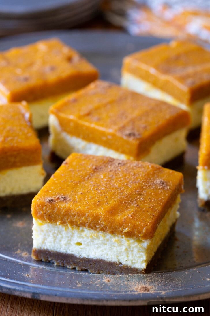 Delicious pumpkin cheesecake bars arranged on a serving platter, ready for guests.