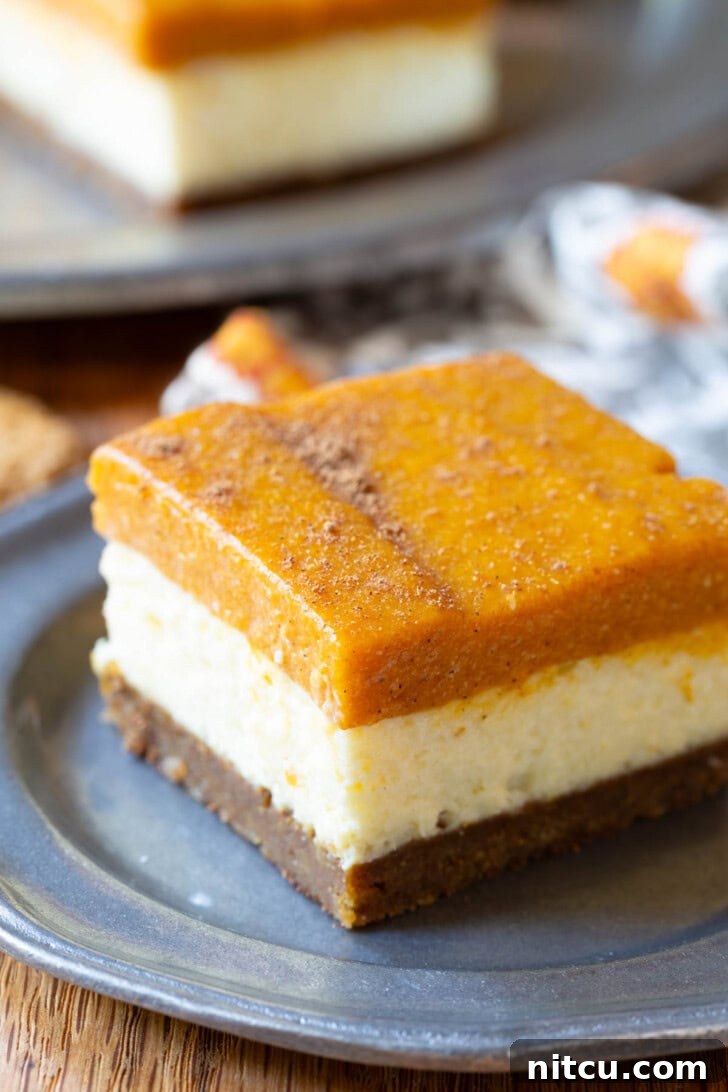 An appetizing graphic of pumpkin cheesecake bars, with one bar on a stylish grey plate.