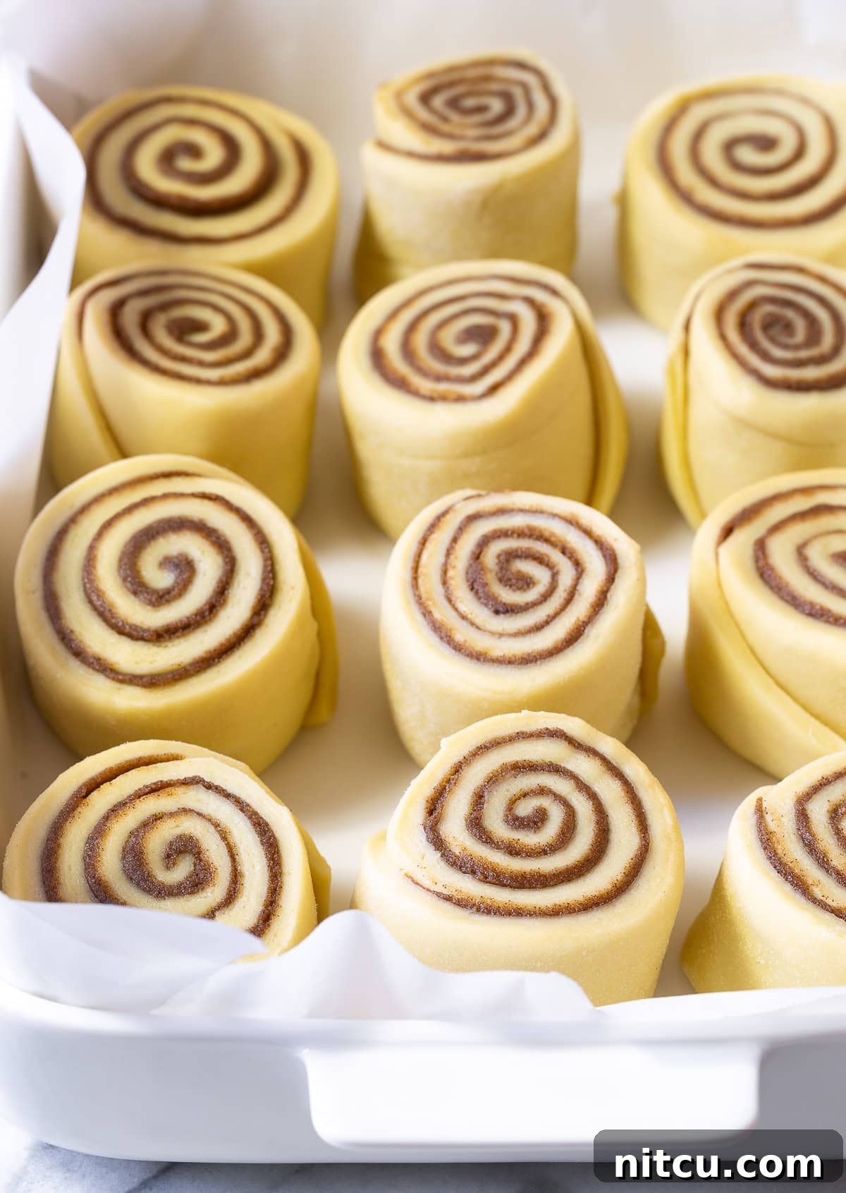 Cinnamon roll dough rolled out in a baking dish lined with parchment paper, ready for its second rise.
