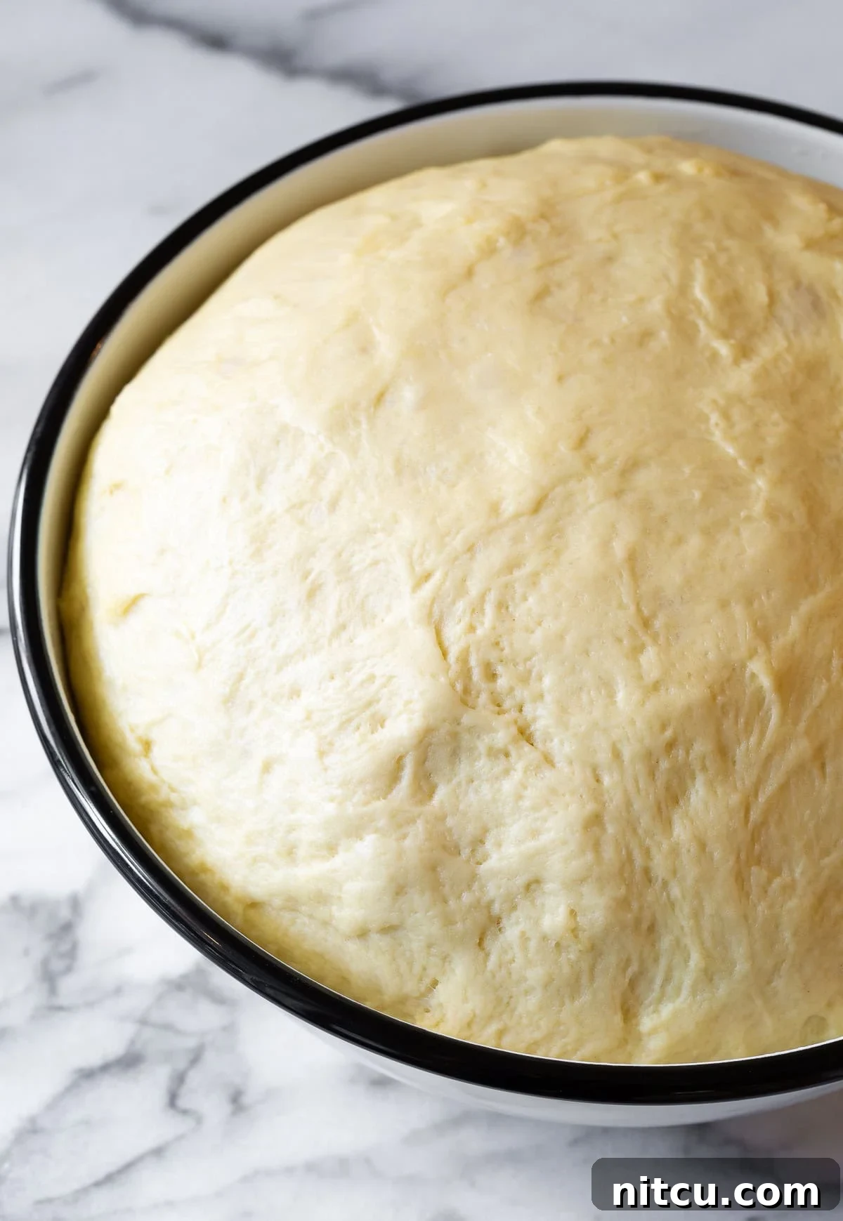 Large mixing bowl with fluffy dough actively rising, covered with plastic wrap.