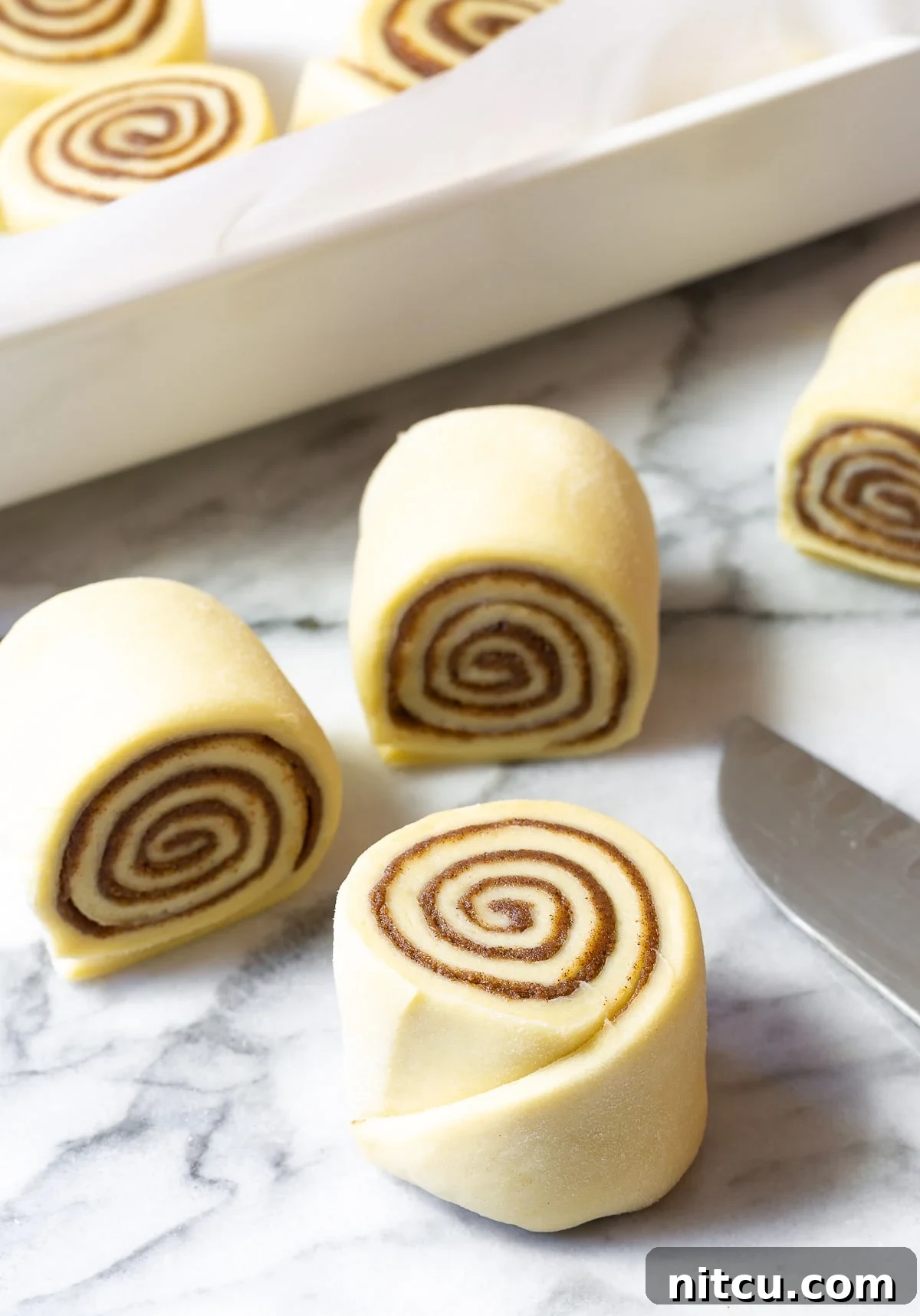 Cinnamon rolls neatly sliced and arranged in a baking dish, ready for their final rise and baking.