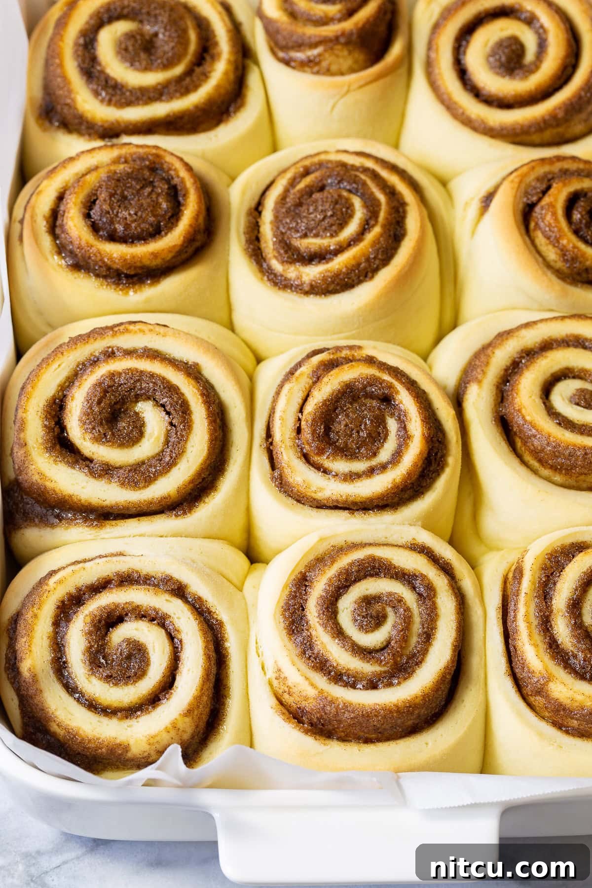 Freshly baked cinnamon rolls lined up in a baking dish, ready for frosting.