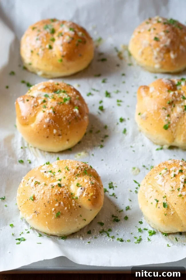 Numerous garlic knots neatly arranged on a baking sheet, showcasing their uniformity and appetizing appearance.