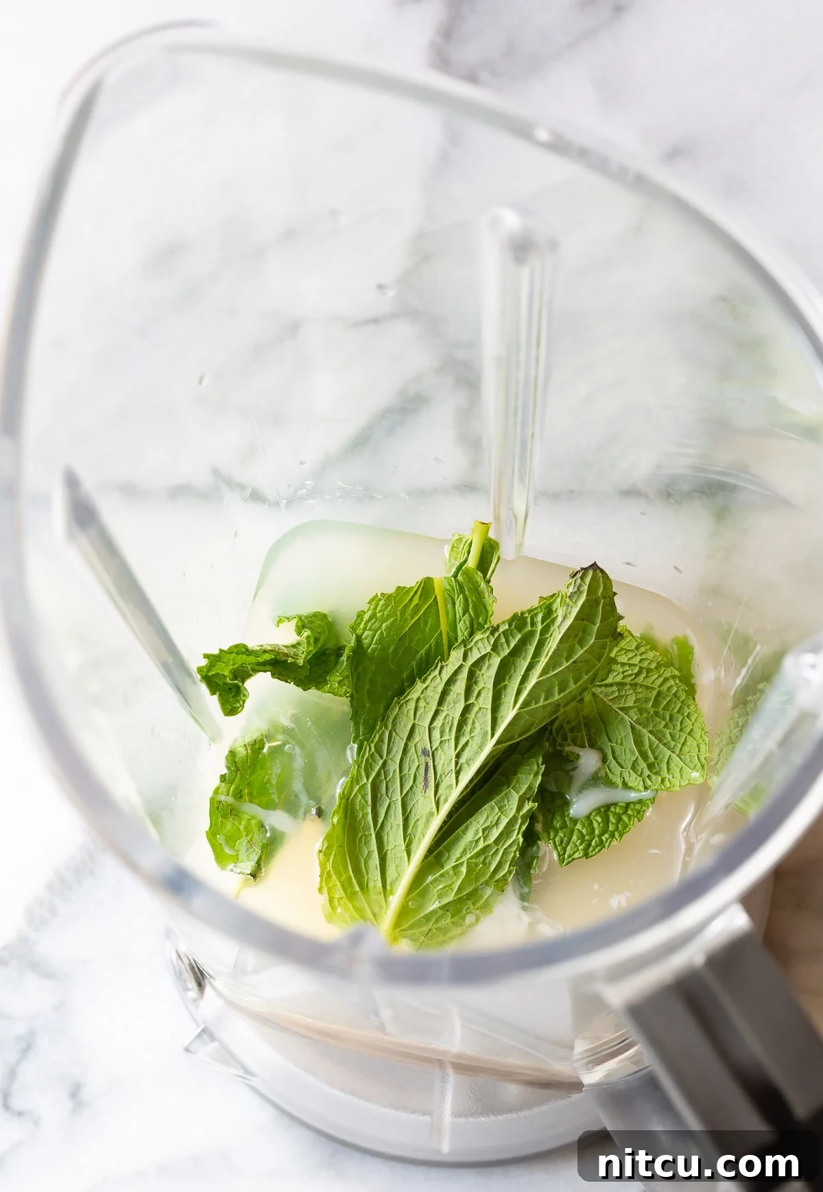 Ingredients for a Frozen Coconut Mojito being blended in a high-speed blender
