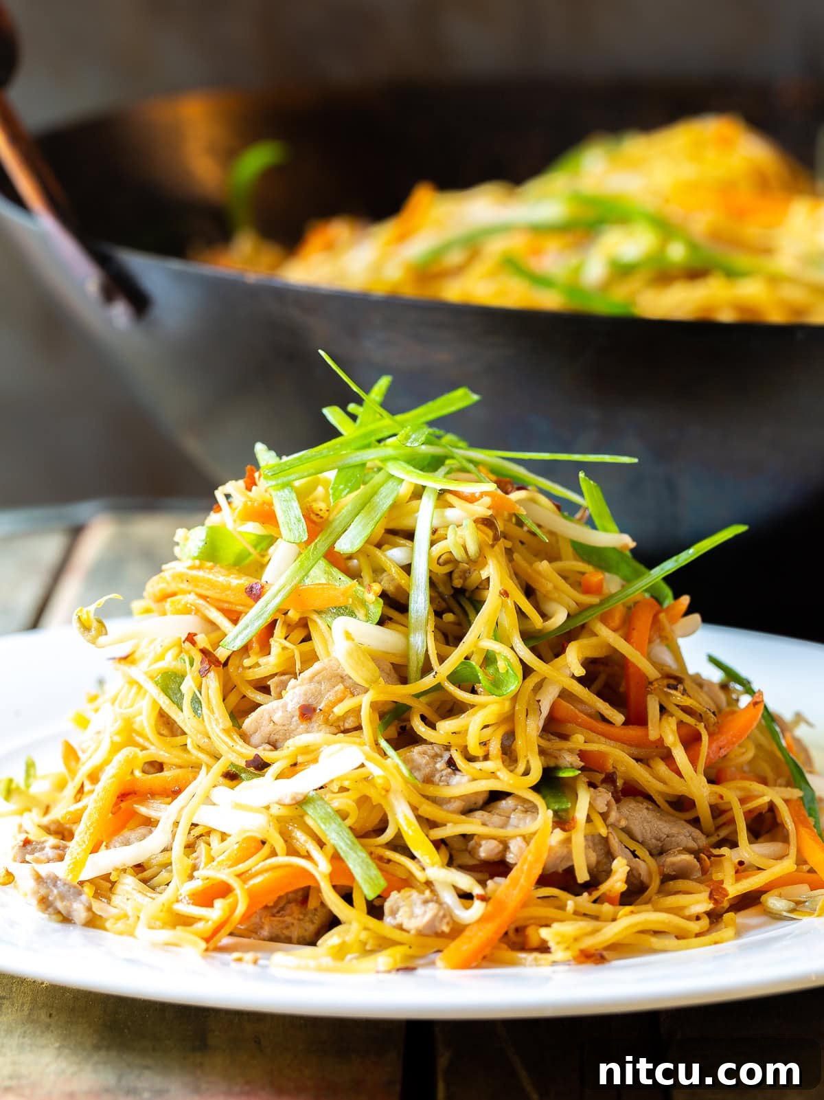 A large, steaming plate of savory Pork Lo Mein, brimming with noodles, pork, and vibrant vegetables, ready to be enjoyed.