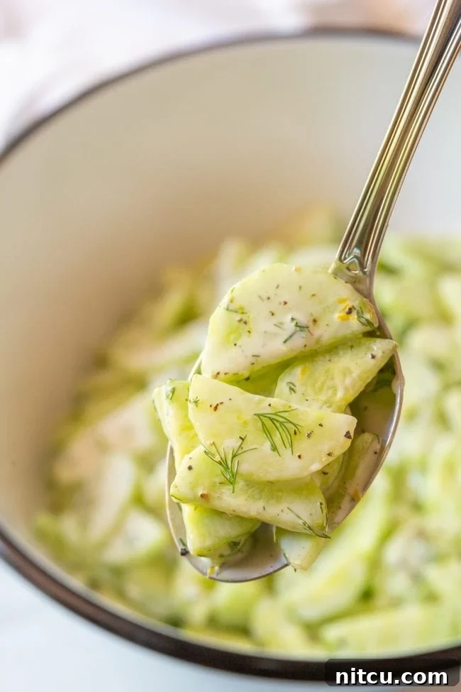 Close up of a vibrant Creamy Cucumber Dill Salad served on a spoon, highlighting its fresh ingredients and creamy texture. Perfect for summer.