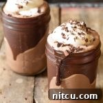 Frozen Hot Chocolate
