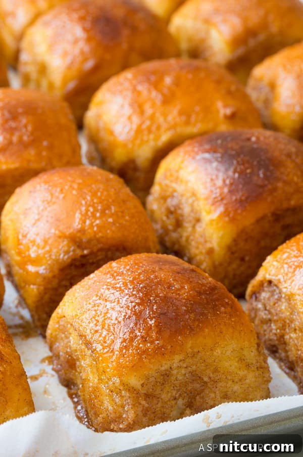 Close-up shot of golden, sticky cinnamon sugar buns arranged neatly on a baking tray.