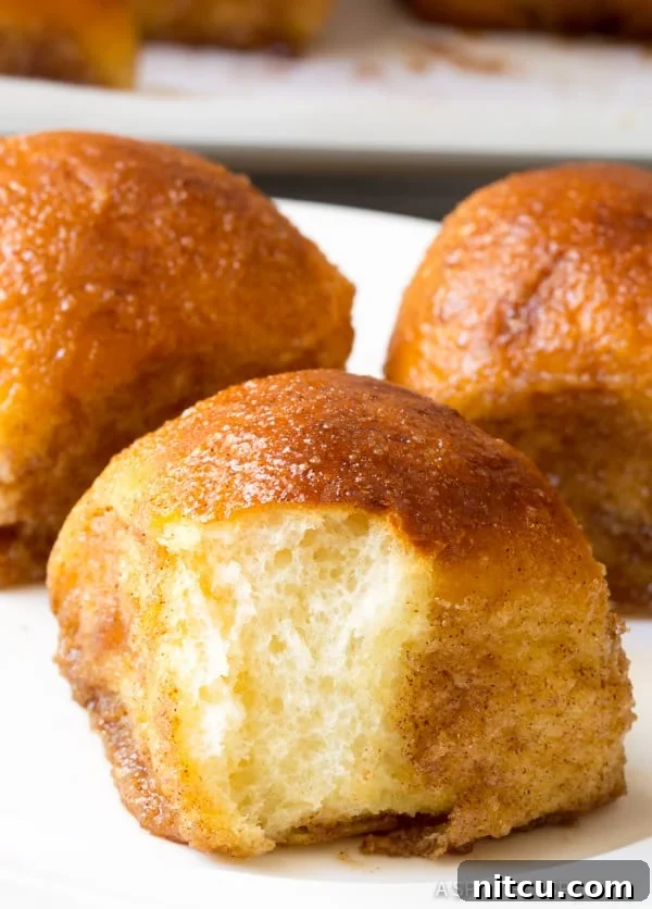 A 4-Ingredient Cinnamon Sugar Roll with a bite taken out, revealing the soft, gooey interior.
