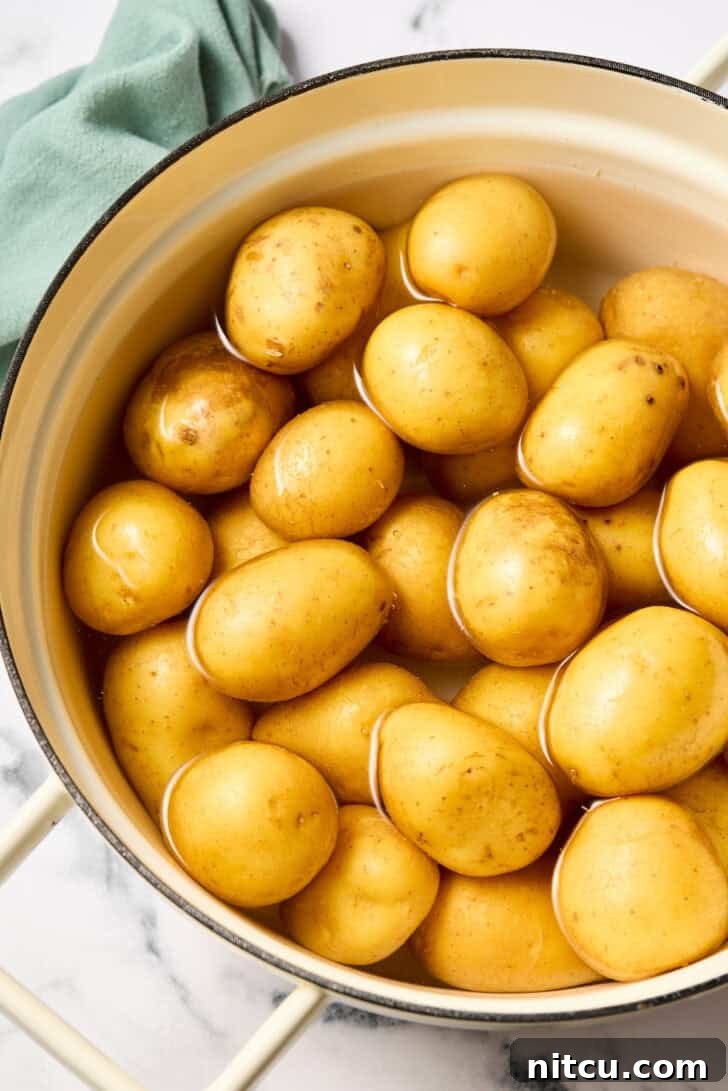 boiled potatoes in pot
