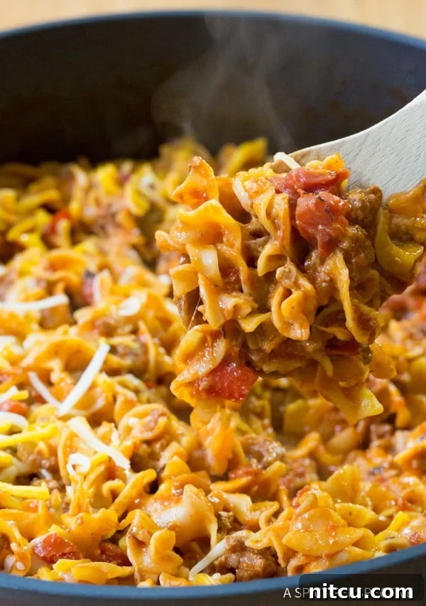 Simple One-Pot Sloppy Joe Noodle Skillet - Easy Cleanup Dinner