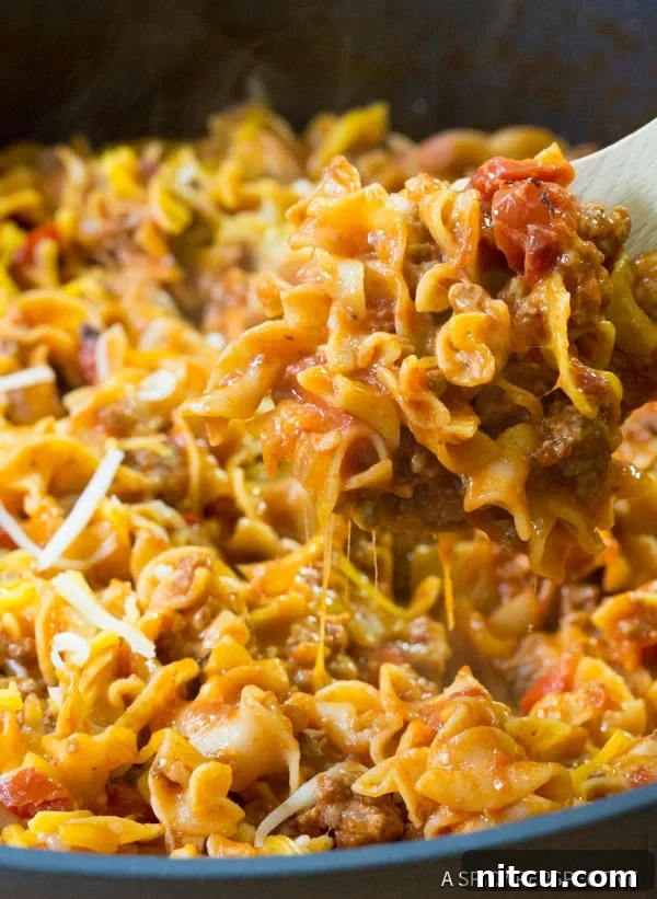 One-Pot Sloppy Joe Noodle Skillet - Light and Gluten-Free Options