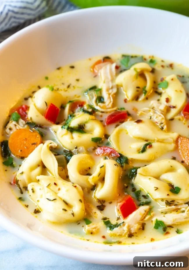 Bowl of tortellini soup with chicken and veggies.